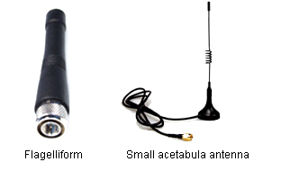 RF Module Antennas